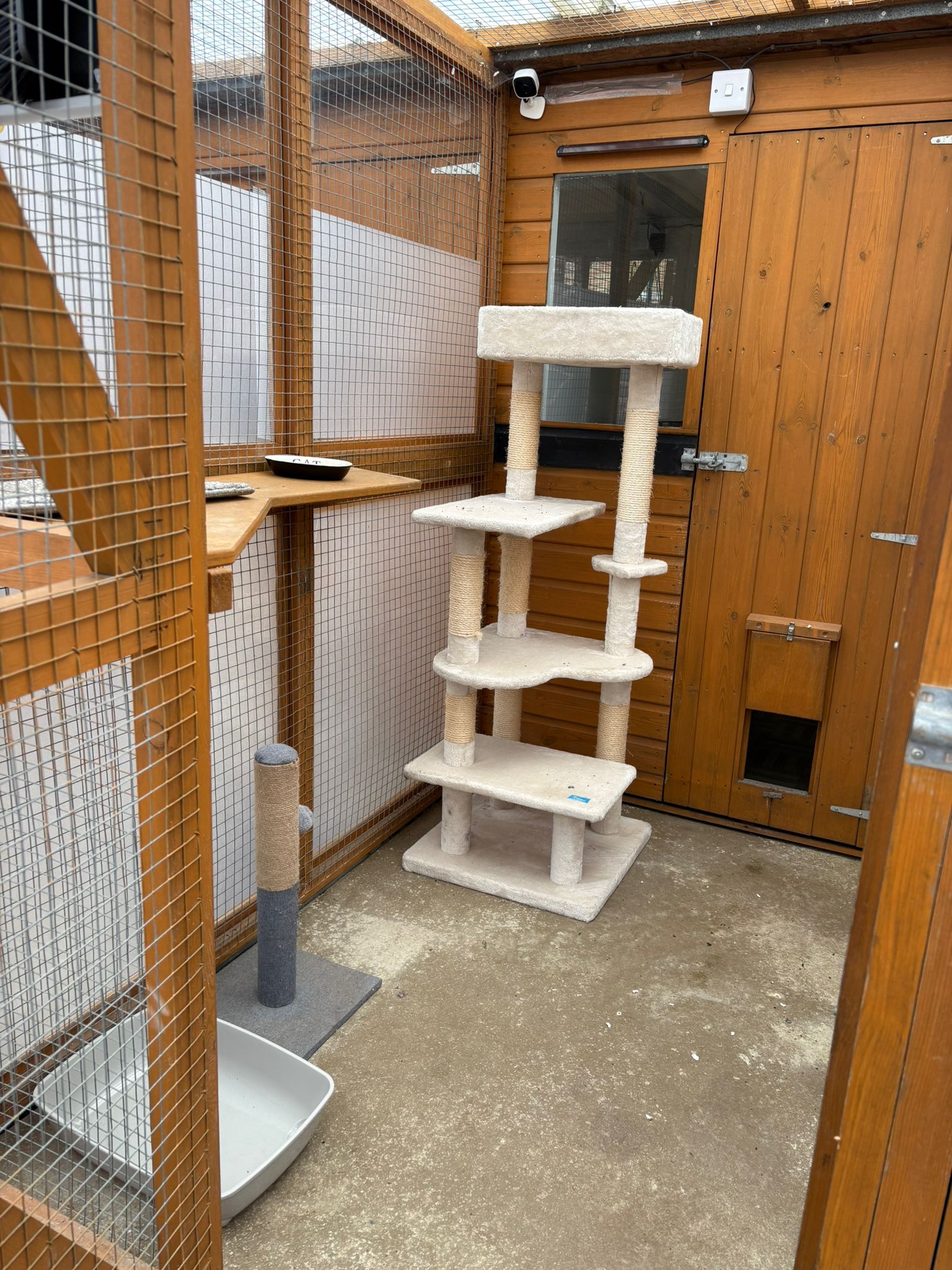 Family suite run at Meowtown — cat tree and enrichment in unit B