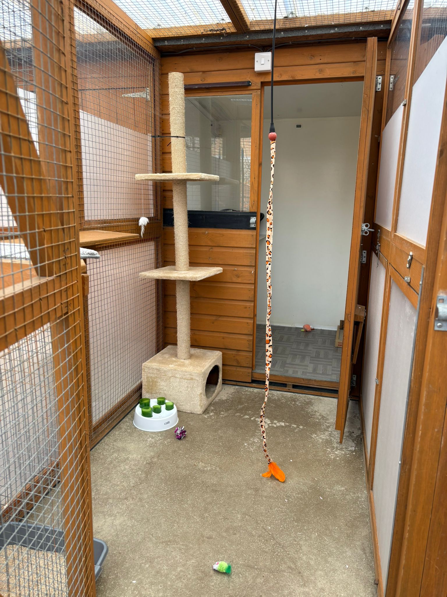 Standard chalet run at Meowtown — scratching post and enrichment toys