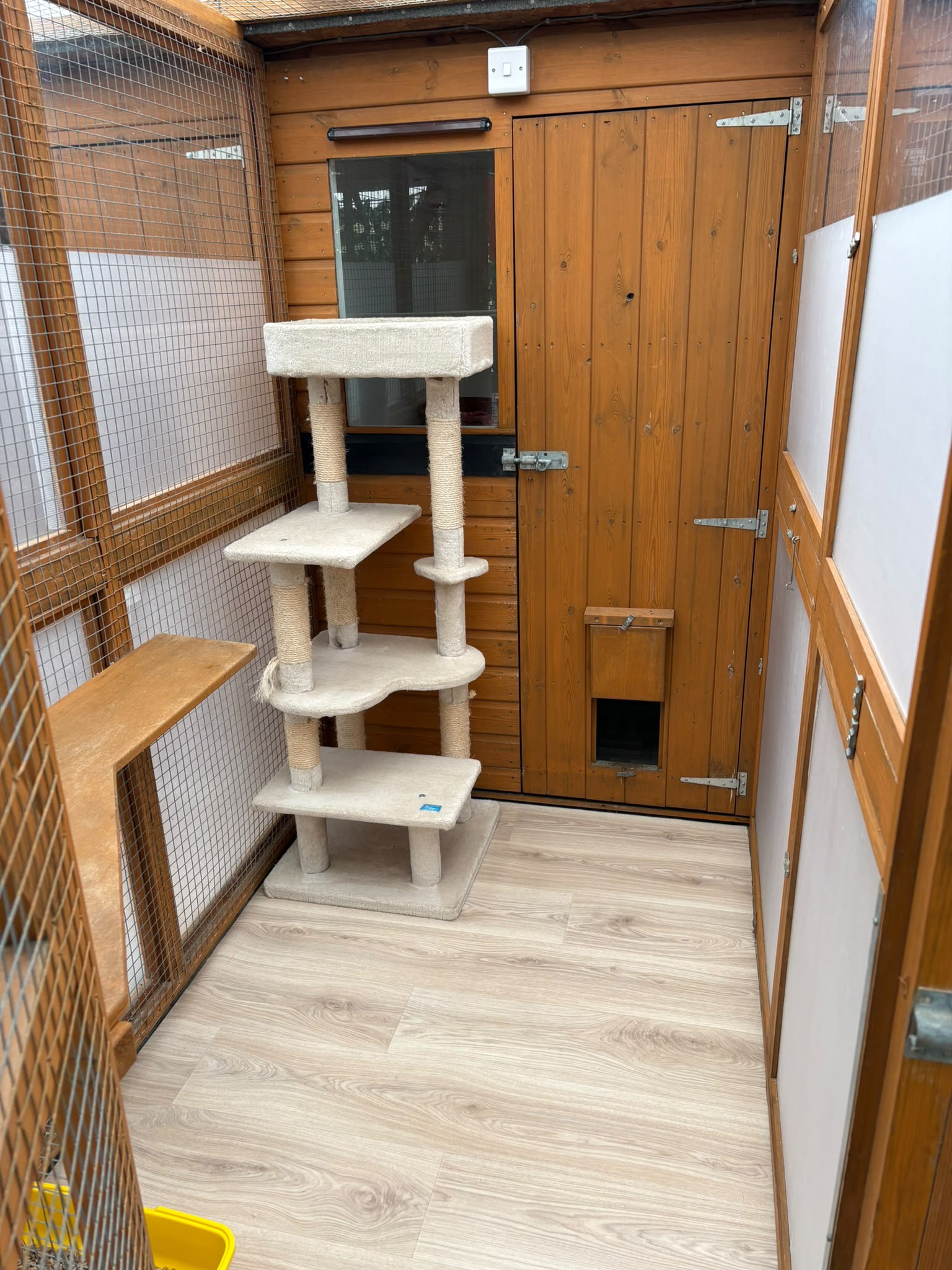 Family suite run at Meowtown — cat tree, shelf and wood-effect flooring in unit B