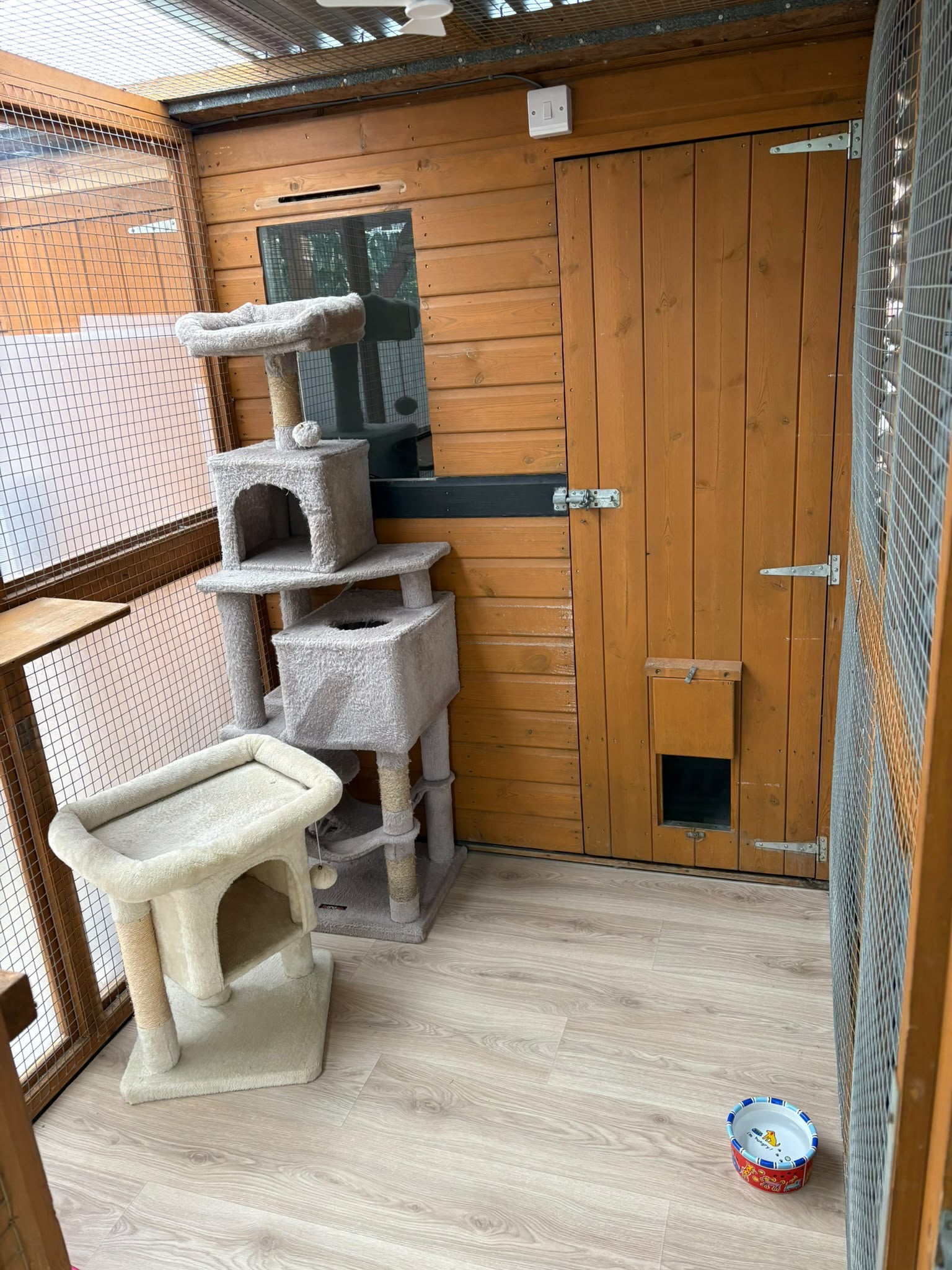 Standard chalet run at Meowtown — cat trees and wood-effect flooring